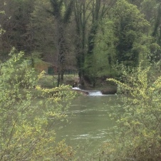 El Doubs y afluente